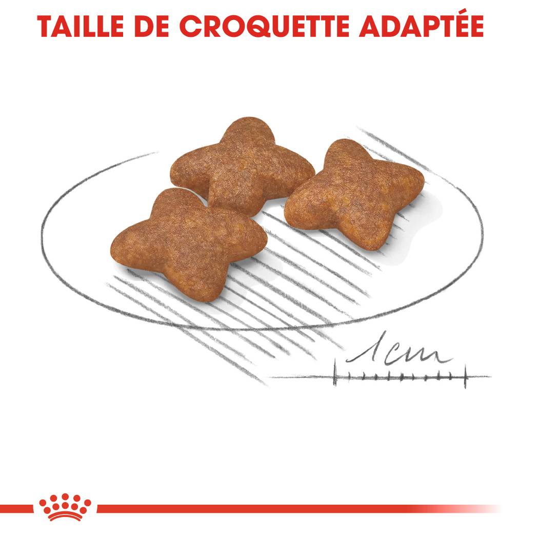 Royal Canin - Croquettes Chien Adulte Petit - ROYAL CANIN - Image 3