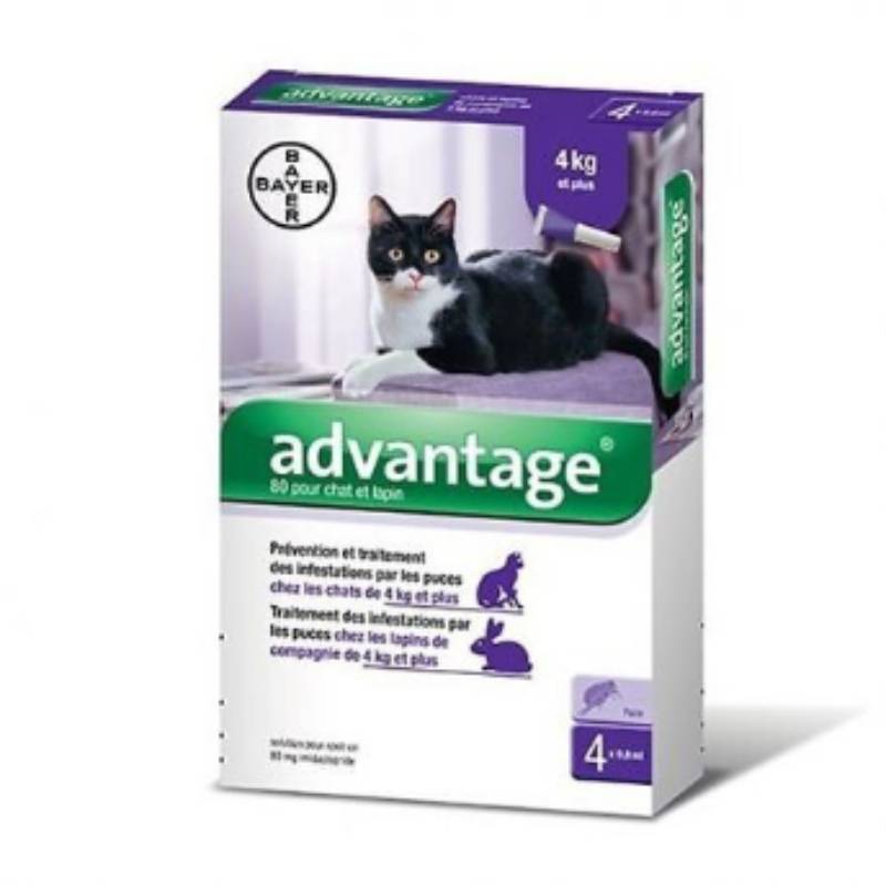 Antiparasitaire Externe Chats Lapins - ADVANTAGE - Image 5