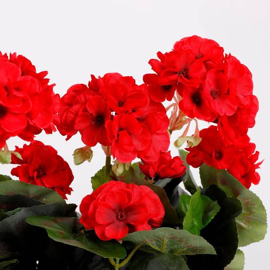 Mica Decorations - Géranium rouge artificiel en jardinière L.29 x l.13 x H.40 cm - Image 7