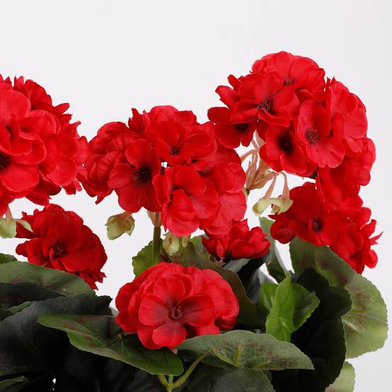 Mica Decorations - Géranium rouge artificiel en jardinière L.29 x l.13 x H.40 cm - Image 8