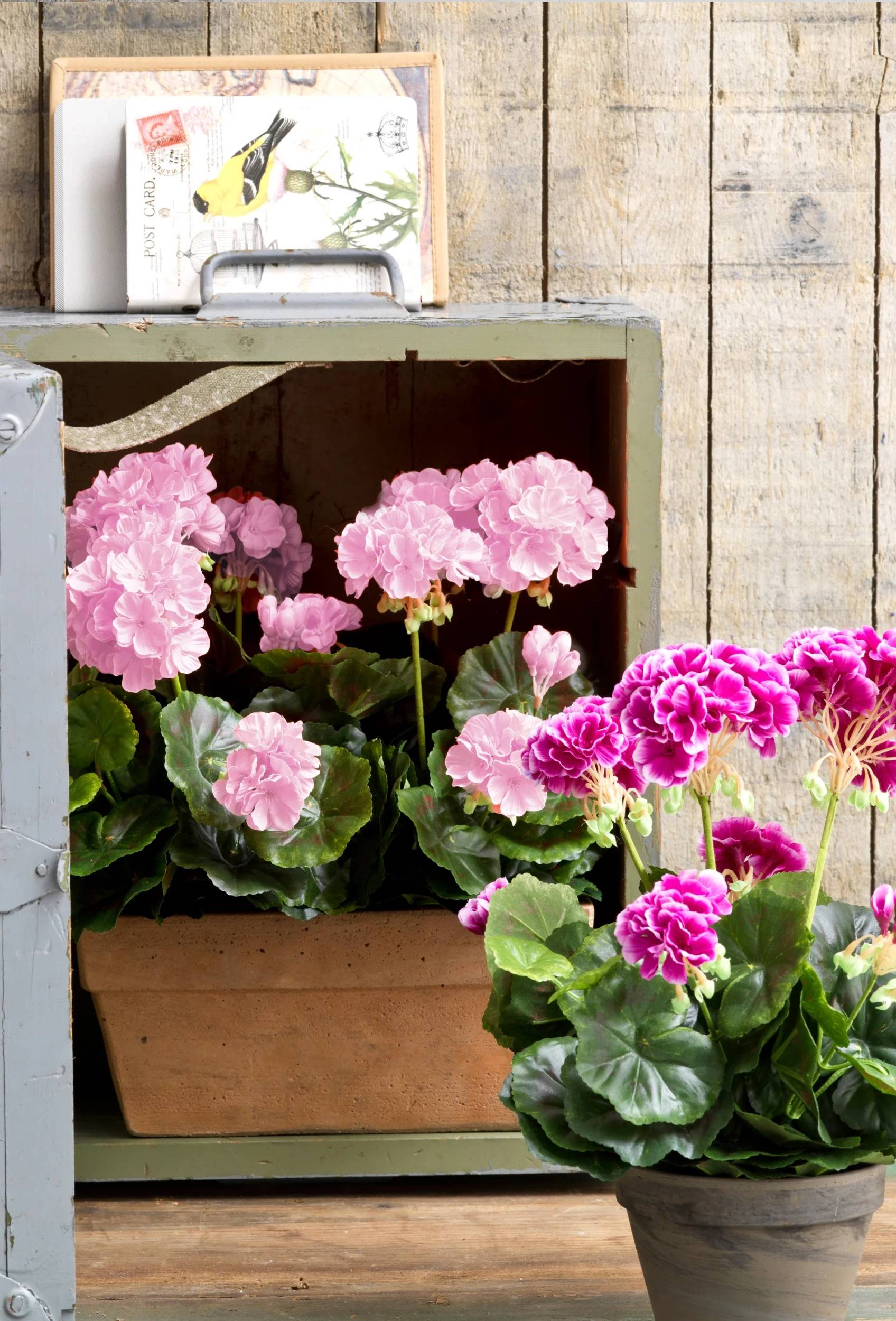 Mica Décoration - Géranium rose artificiel en jardiniere L.29 x l.13 x H.40 cm - Image 4