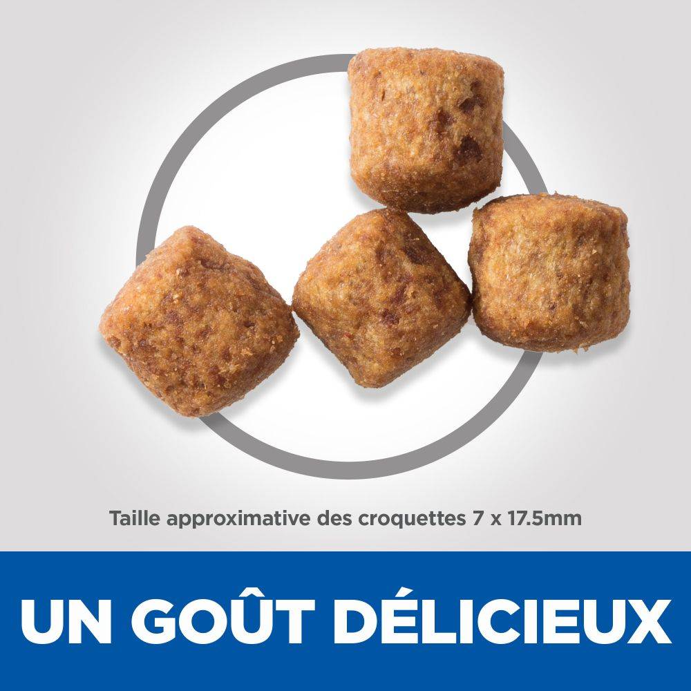 Science plan - Croquettes pour Chien Adulte Perfect Weight Large Breed Poulet 12kg - Science Plan Hill's - Image 2