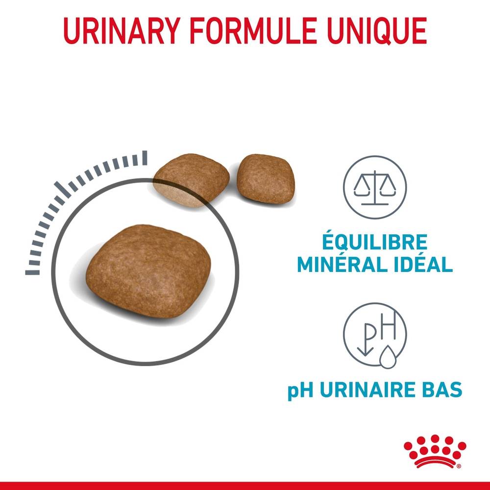 Royal Canin - Croquettes Chat Urinary Care – ROYAL CANIN - Image 4