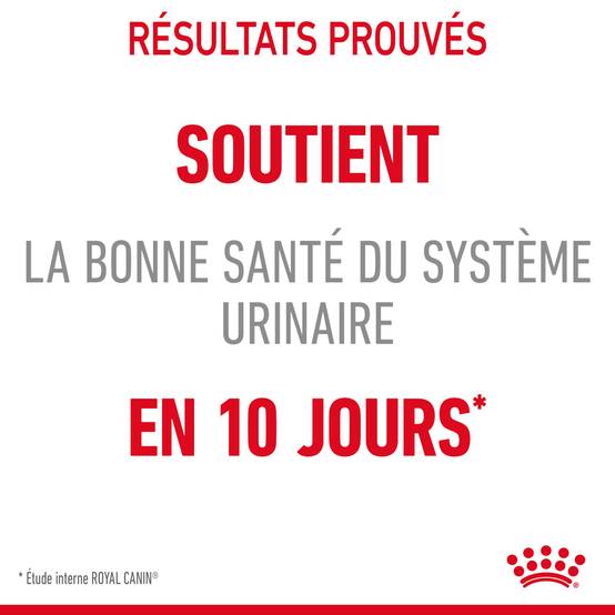 Royal Canin - Croquettes chat Urinary Care - ROYAL CANIN - Image 5