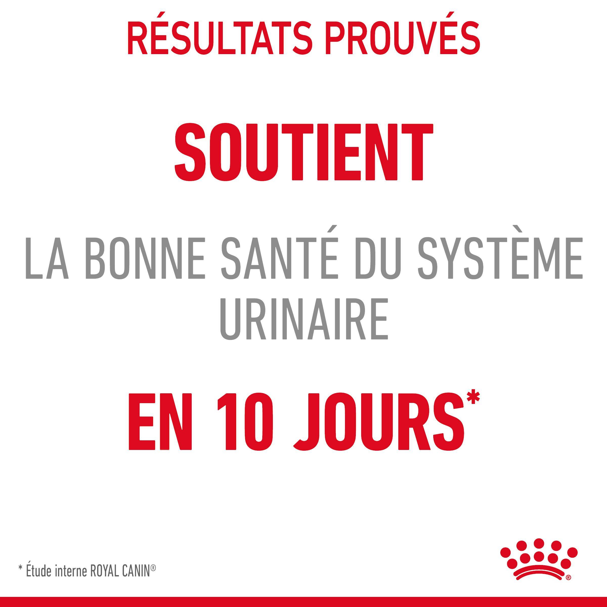 Royal Canin - Croquettes chat Urinary Care - ROYAL CANIN - Image 5