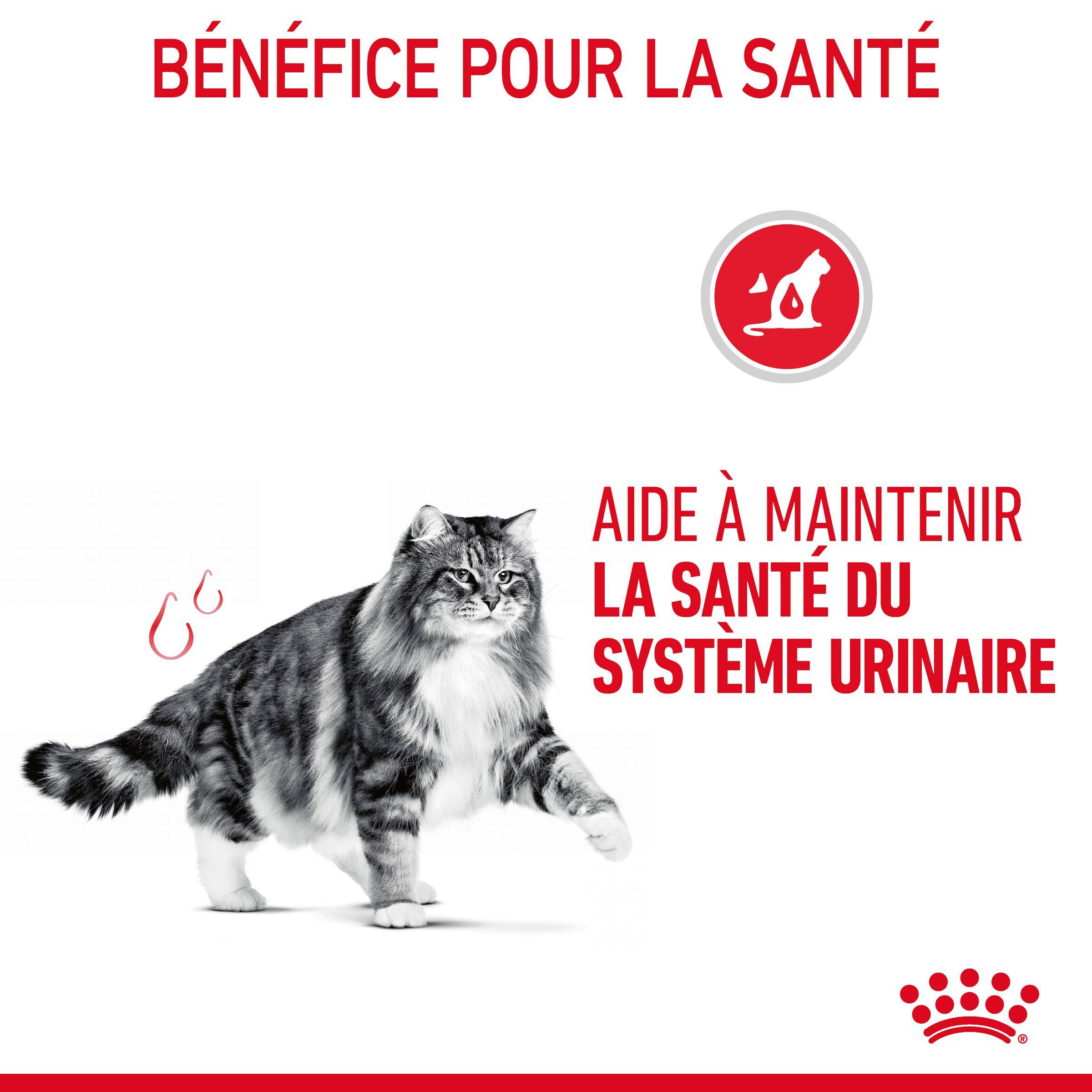 Royal Canin - Croquettes chat Urinary Care - ROYAL CANIN - Image 10