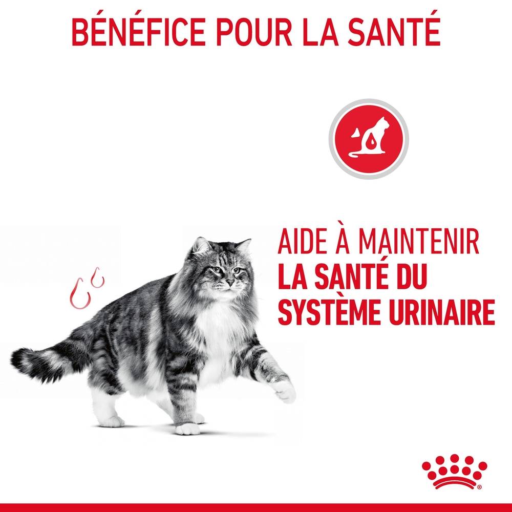 Royal Canin - Sachet de Sauce Urinary Care Chat - ROYAL CANIN - Image 5