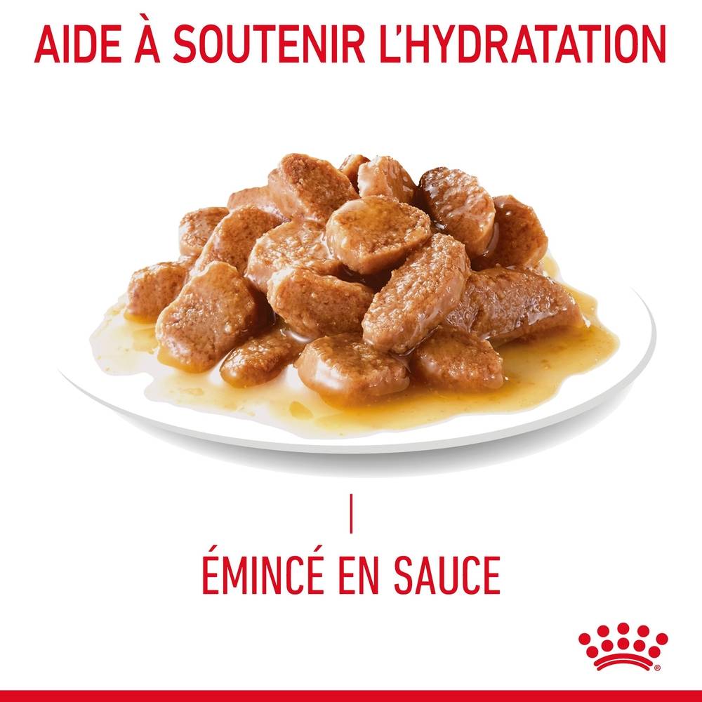 Royal Canin - Sachet de Sauce Urinary Care Chat - ROYAL CANIN - Image 6