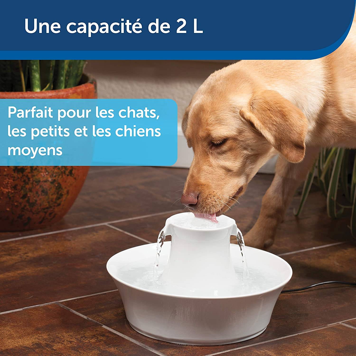 Petsafe - Fontaine Avalon céramique 2L Blanc Ø.30,99 x H.22 cm - Image 3