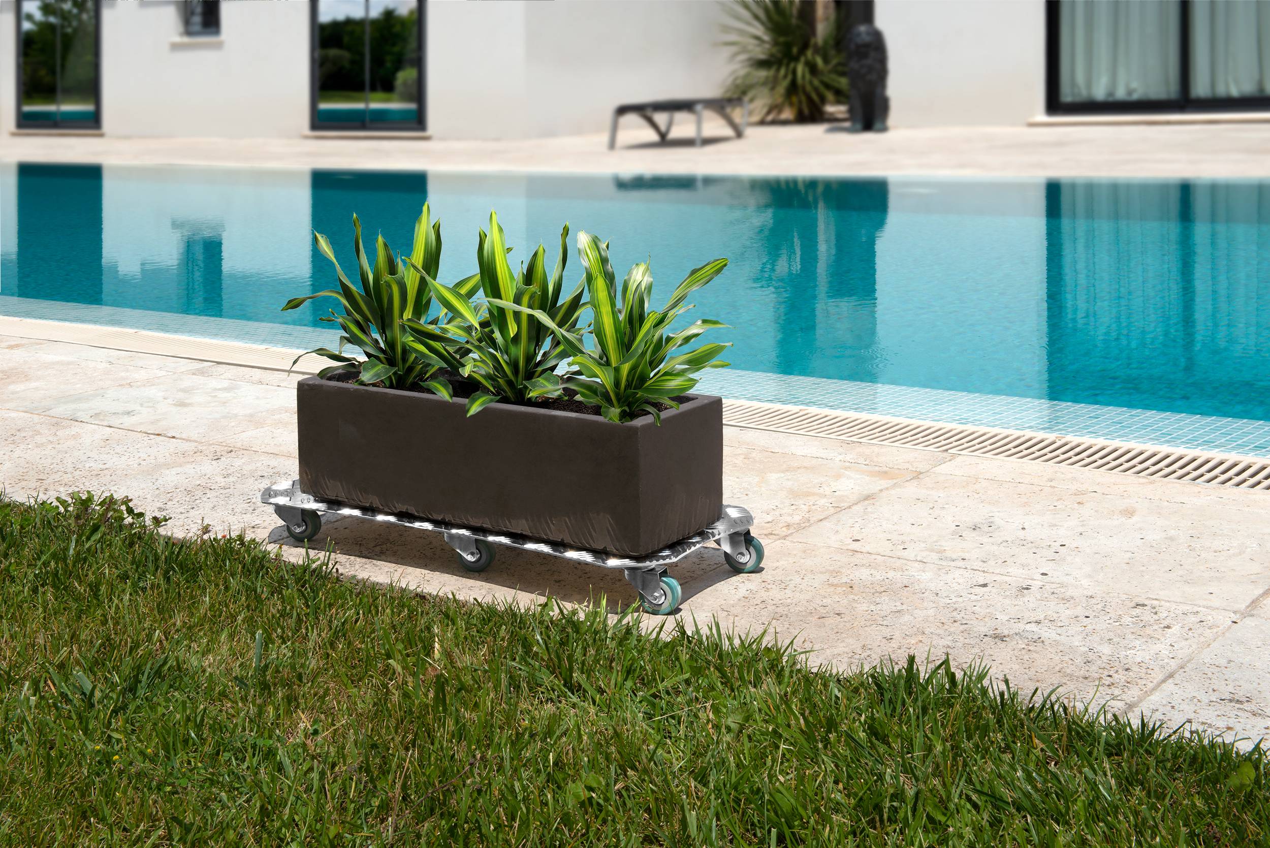Louis Moulin - Roule-plantes Aluminium – LOUIS MOULIN - Image 5