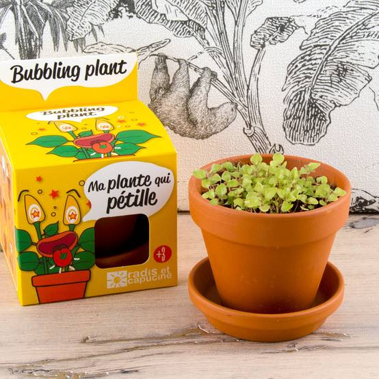 Kit Plante Qui Pétille - RADIS ET CAPUCINE - Image 3