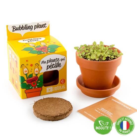 Kit Plante Qui Pétille - RADIS ET CAPUCINE - Image 1