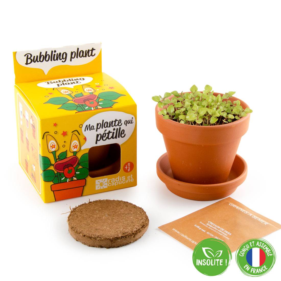 Kit Plante Qui Pétille - RADIS ET CAPUCINE