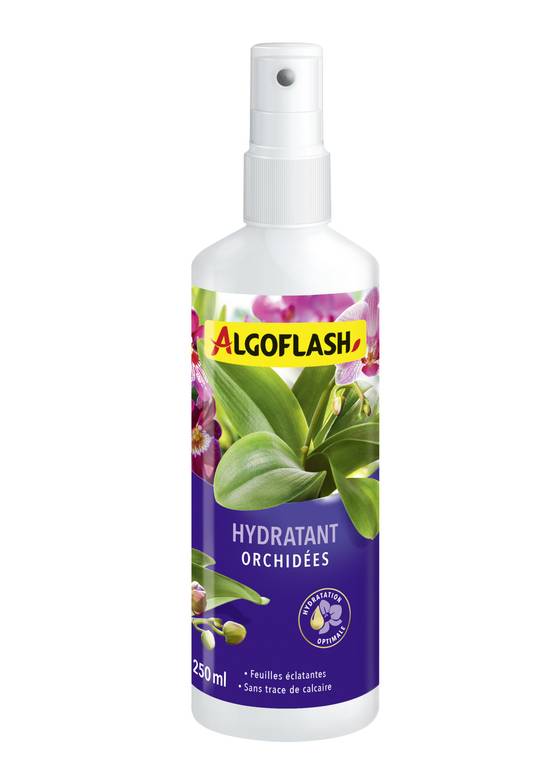 Algoflash - Hydratant Orchidées - ALGOFLASH