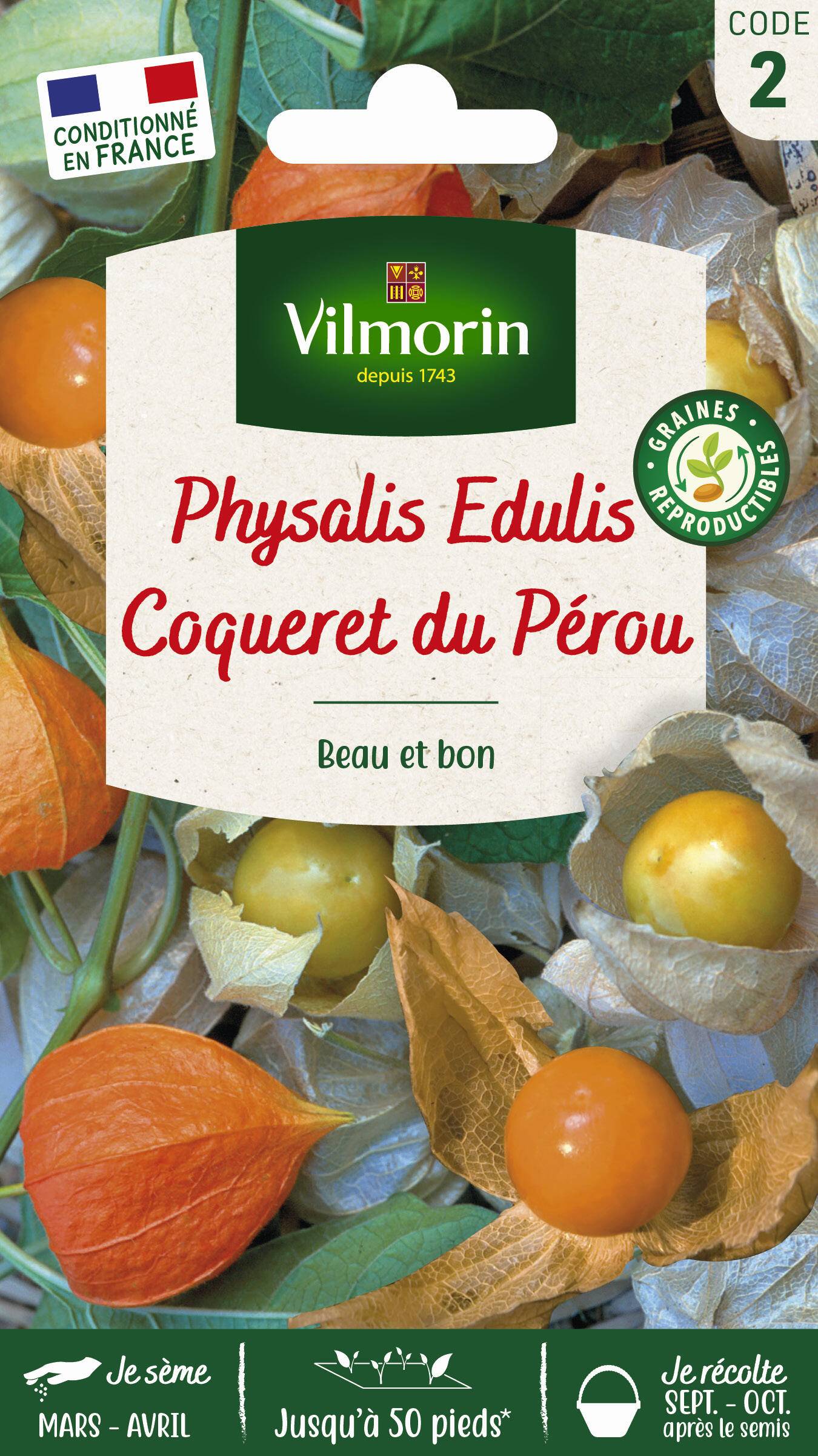 Vilmorin - Physalis Edulis coqueret du Pérou série 2 sachet graines 0,6 g - Vilmorin - Image 1