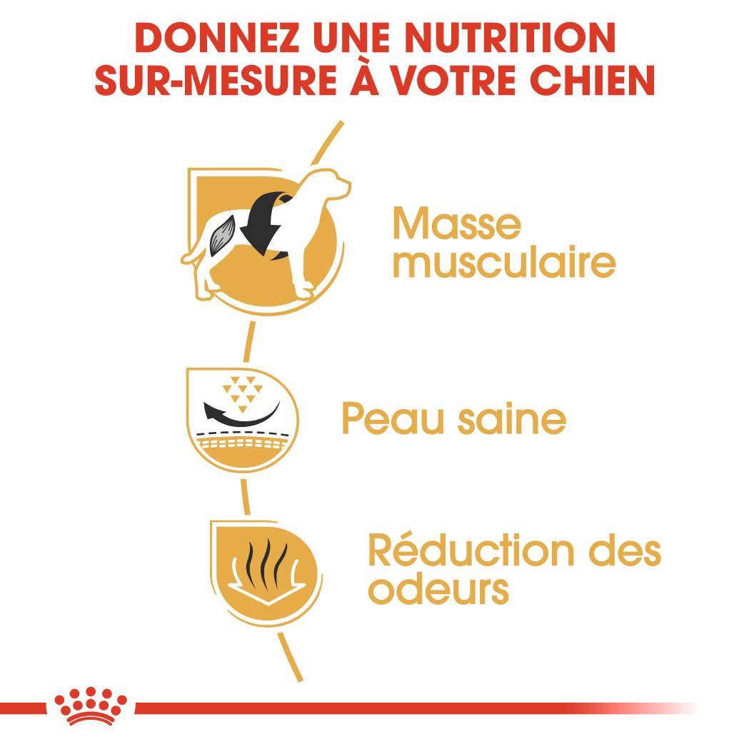 Royal Canin - Croquettes Chien French Bulldog Adulte - ROYAL CANIN - Image 6