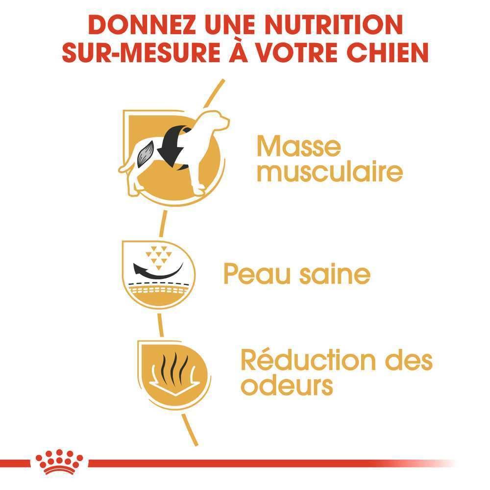 Royal Canin - Croquettes Chien French Bulldog Adulte - ROYAL CANIN - Image 11