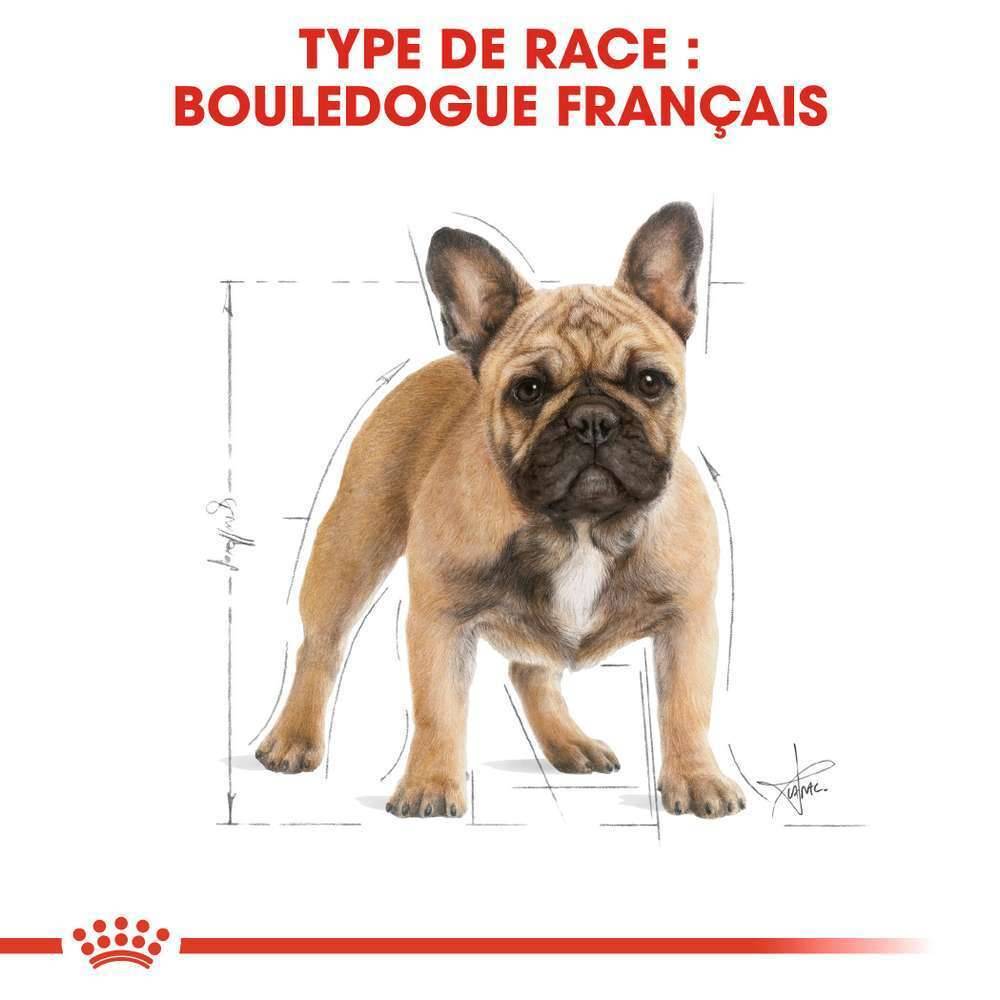 Royal Canin - Croquettes Chien French Bulldog Adulte - ROYAL CANIN - Image 10