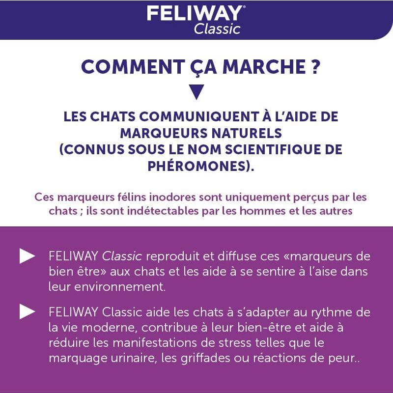 Spray Anti-Stress Chat – FELIWAY - Image 4