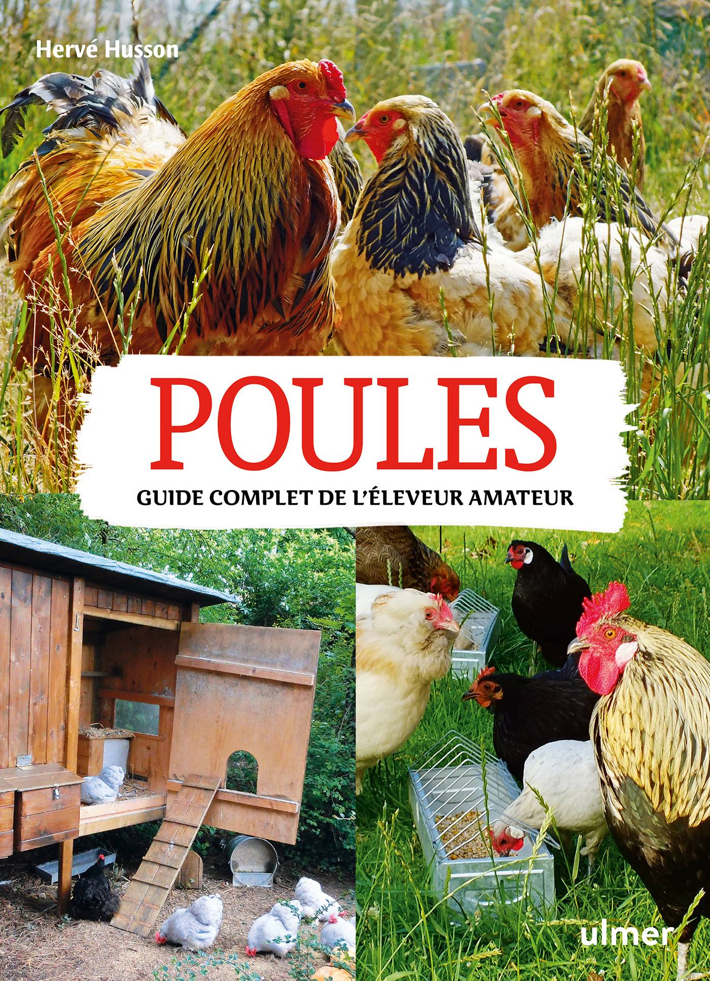 Ulmer - Poules. Guide complet de l'éleveur amateur
