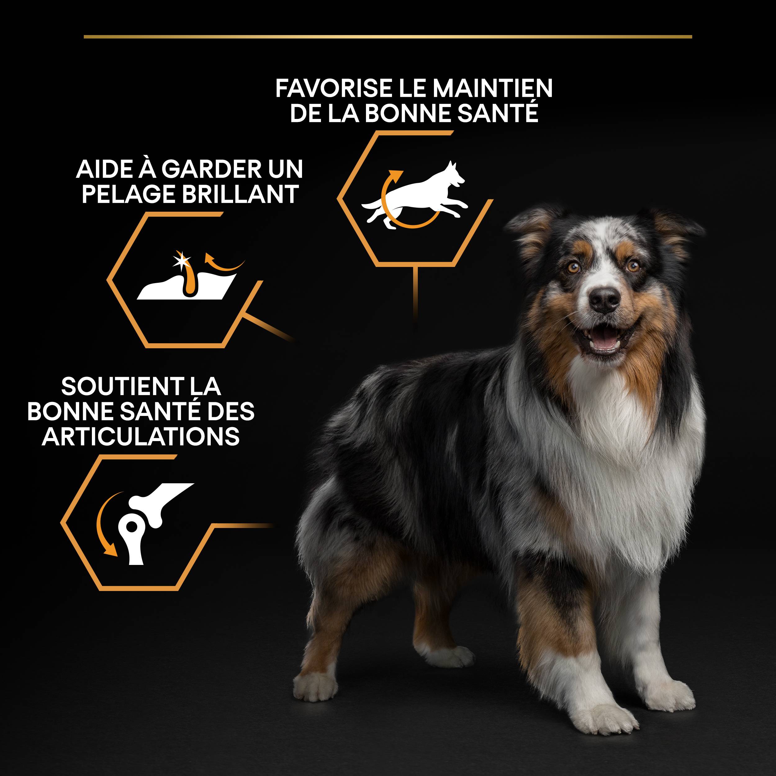 Purina Pro Plan - Croquettes chien Adulte Medium OptiBalance 14KG + 2,5KG gratuits - PRO PLAN - Image 13