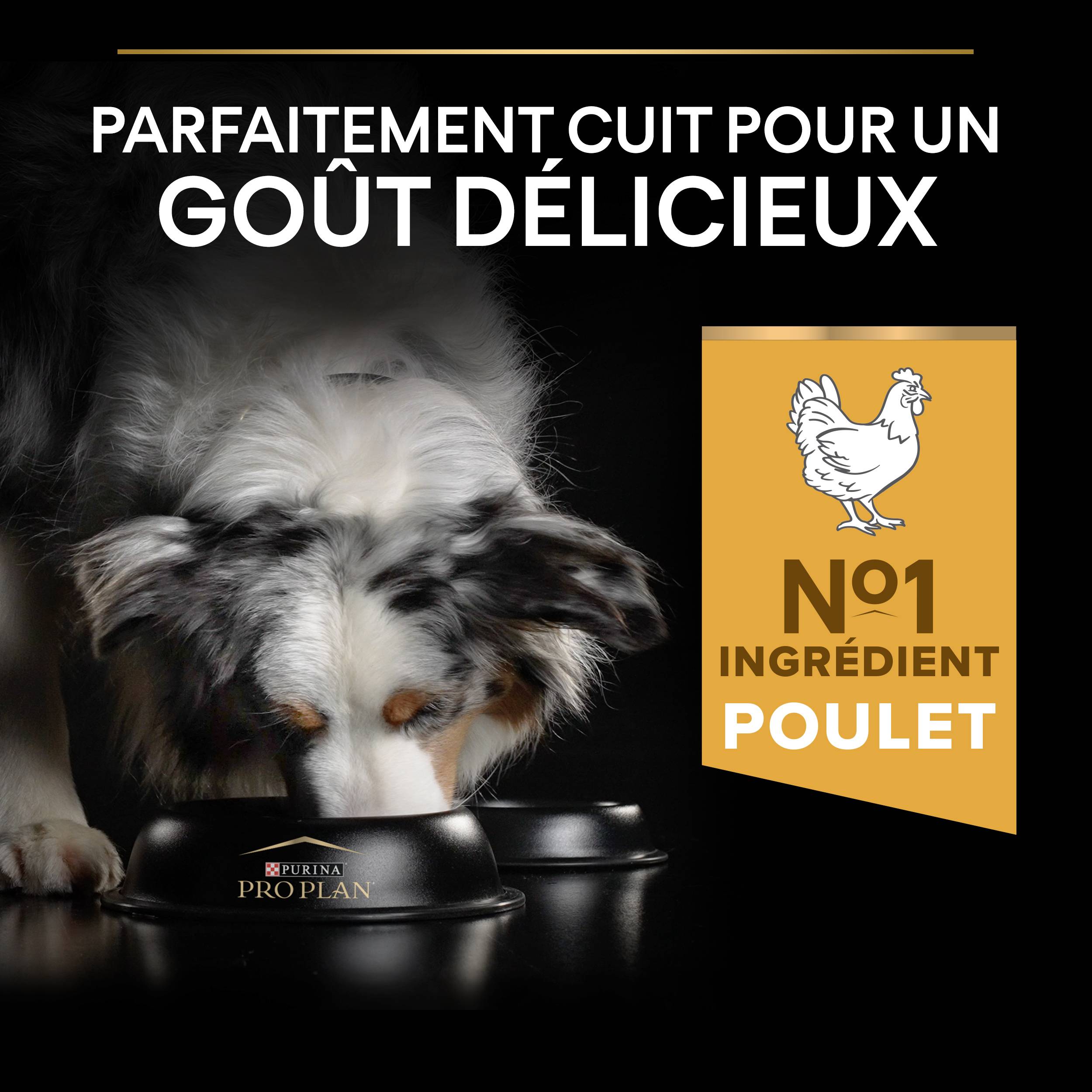 Purina Pro Plan - Croquettes chien Adulte Medium 3 kg - PRO PLAN - Image 5
