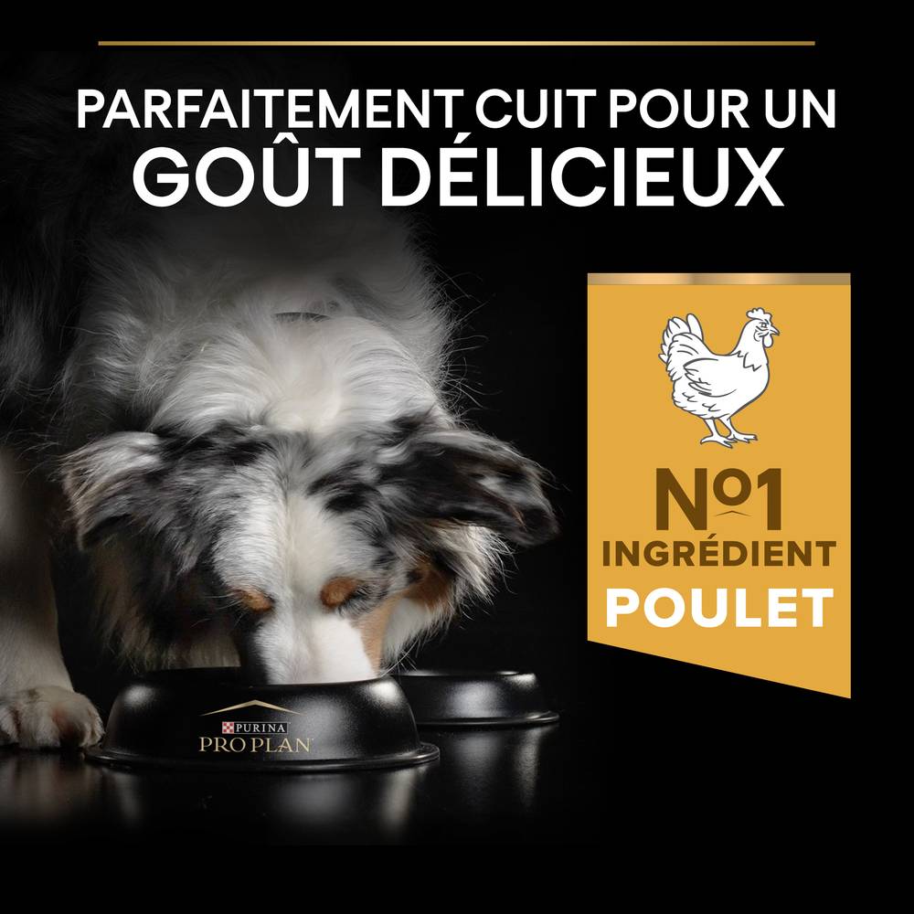 Purina Pro Plan - Croquettes chien Adulte Medium 3 kg - PRO PLAN - Image 17