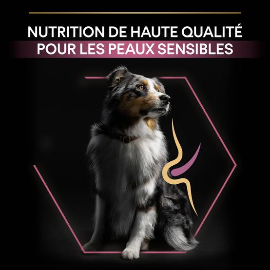 Purina Pro Plan - Croquettes chien Adulte Sensitive Skin 14kg – PRO PLAN - Image 2