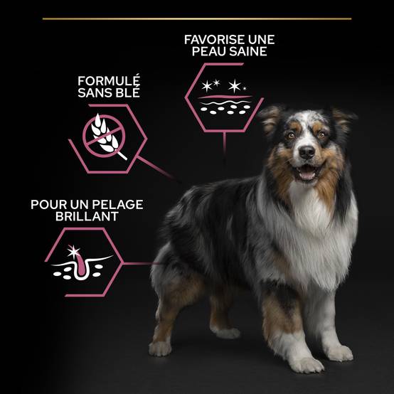 Purina Pro Plan - Croquettes chien Adulte Sensitive Skin 14kg – PRO PLAN - Image 11