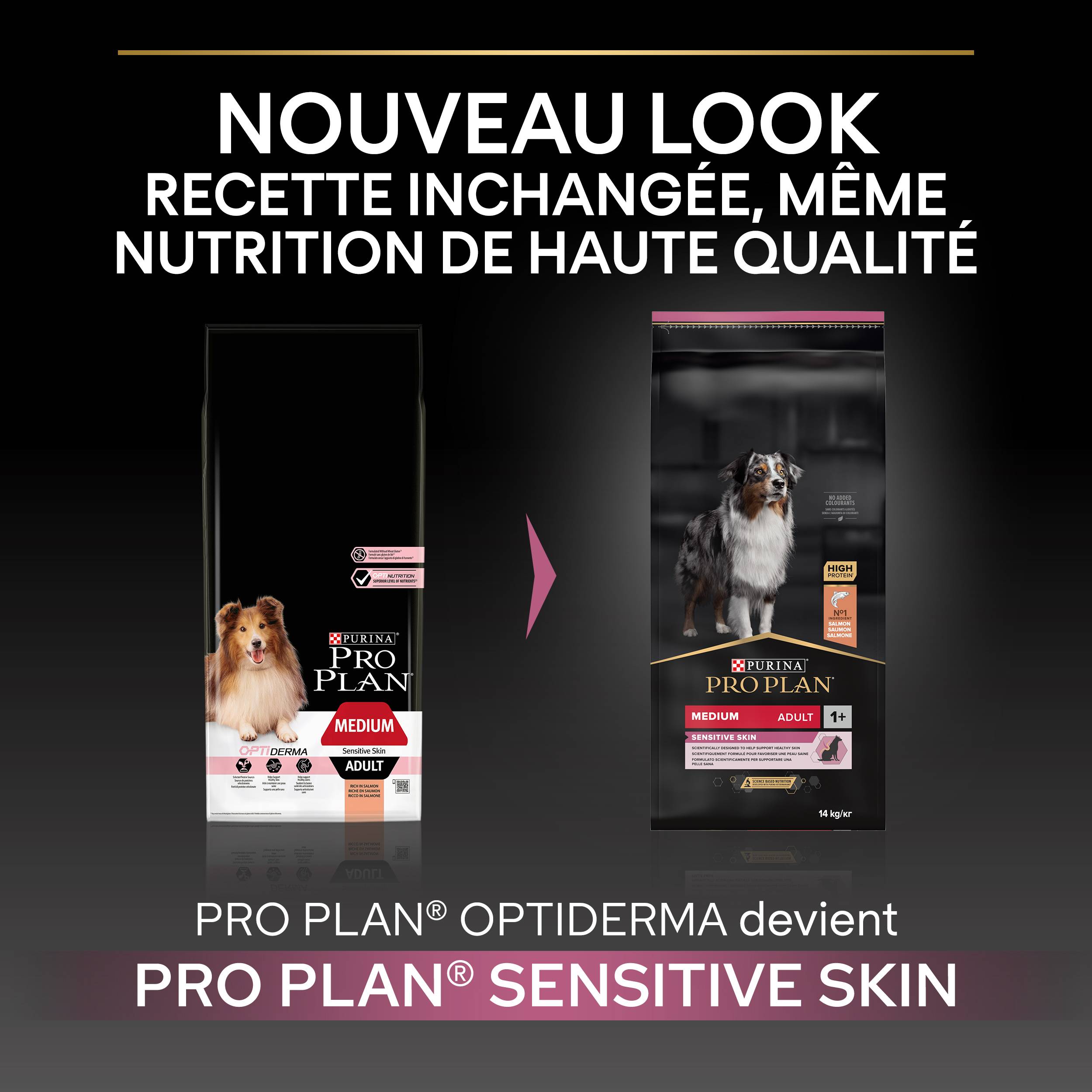 Purina Pro Plan - Croquettes chien Adulte Sensitive Skin 14kg – PRO PLAN - Image 4