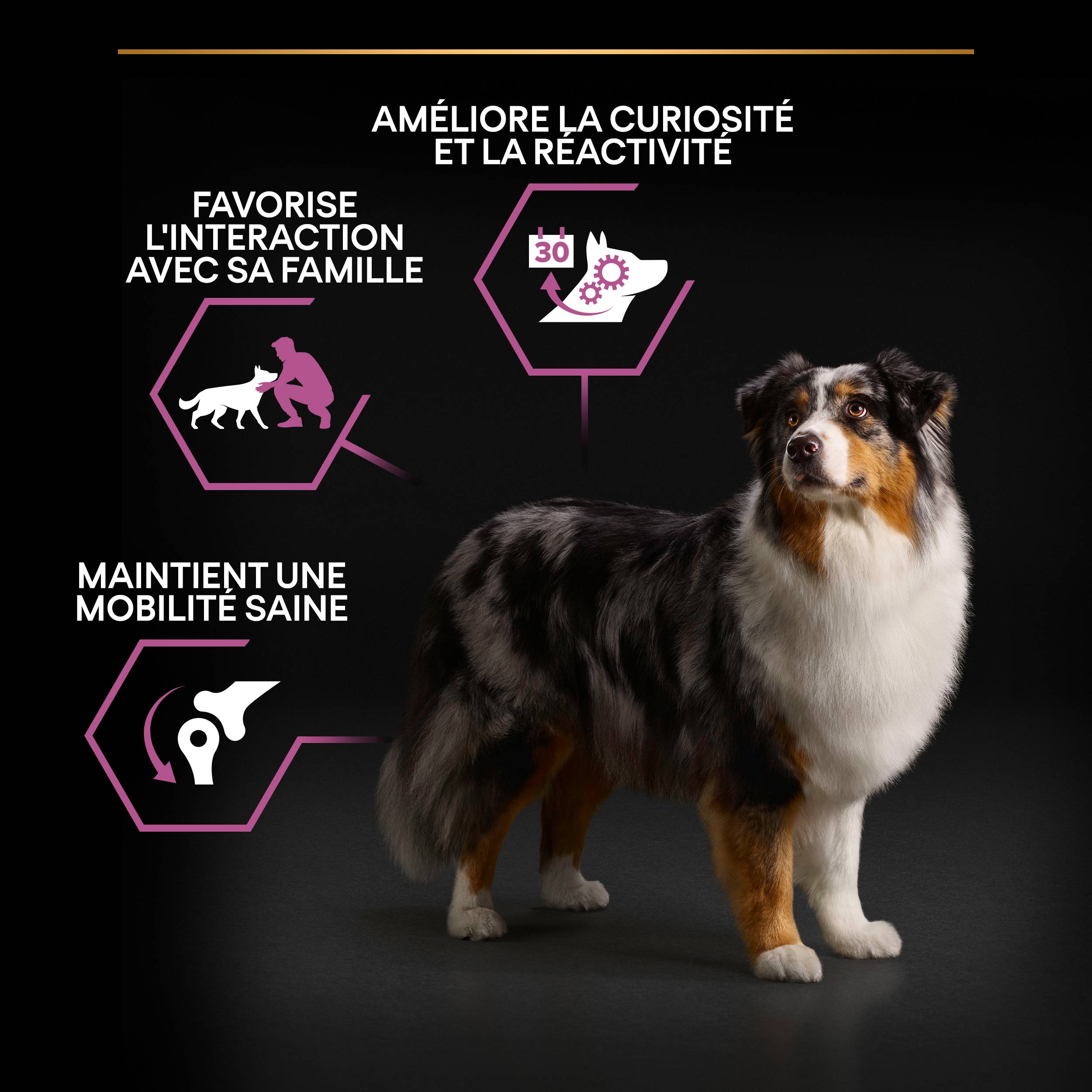 Purina Pro Plan - Croquettes chien Medium Adulte 7+ Poulet 14 kg - PRO PLAN - Image 6