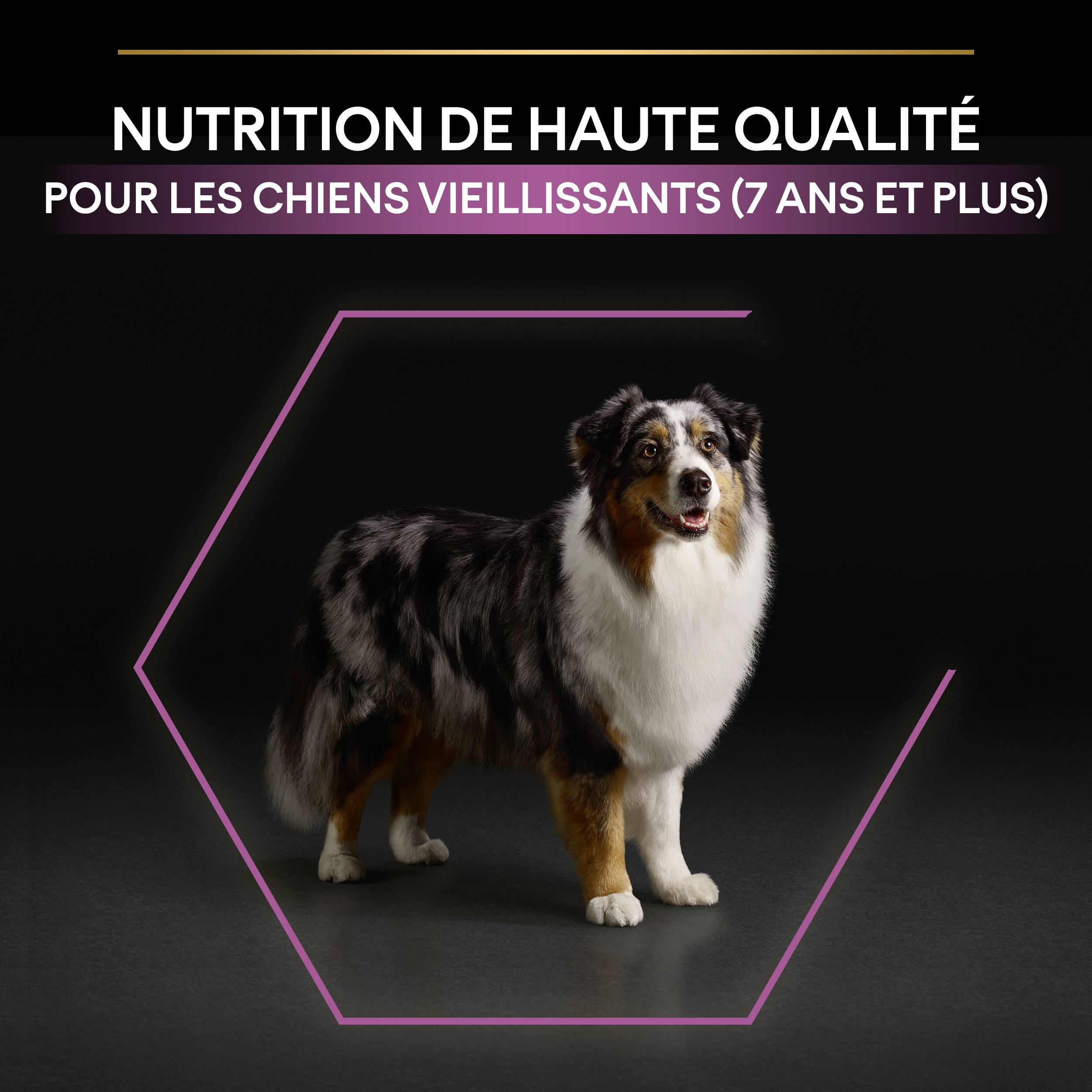 Purina Pro Plan - Croquettes chien Adulte 7+ Medium Poulet 3 kg - PRO PLAN - Image 3
