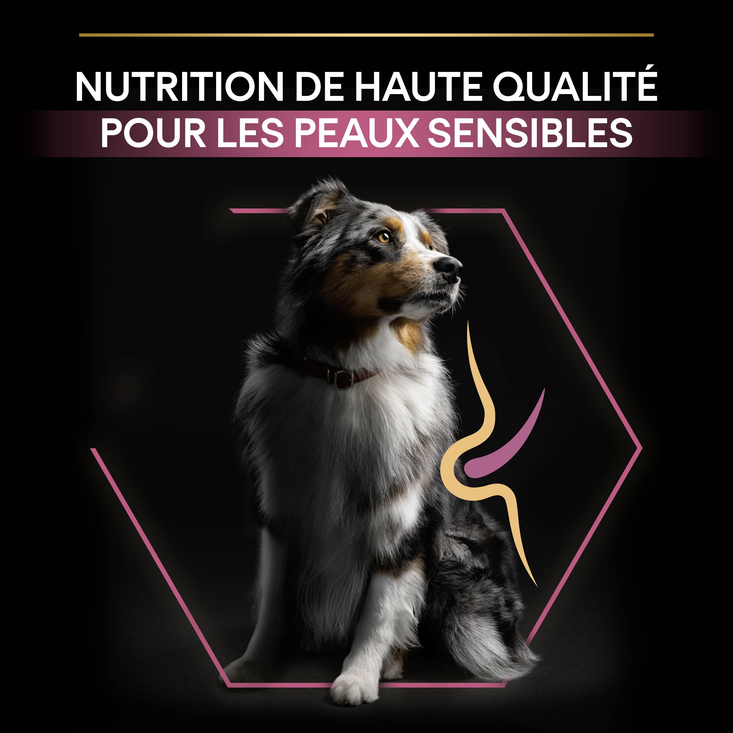 Purina Pro Plan - Croquettes chien Adulte 7+ Medium-Large Sensitive Skin Saumon 3 kg - PRO PLAN - Image 8