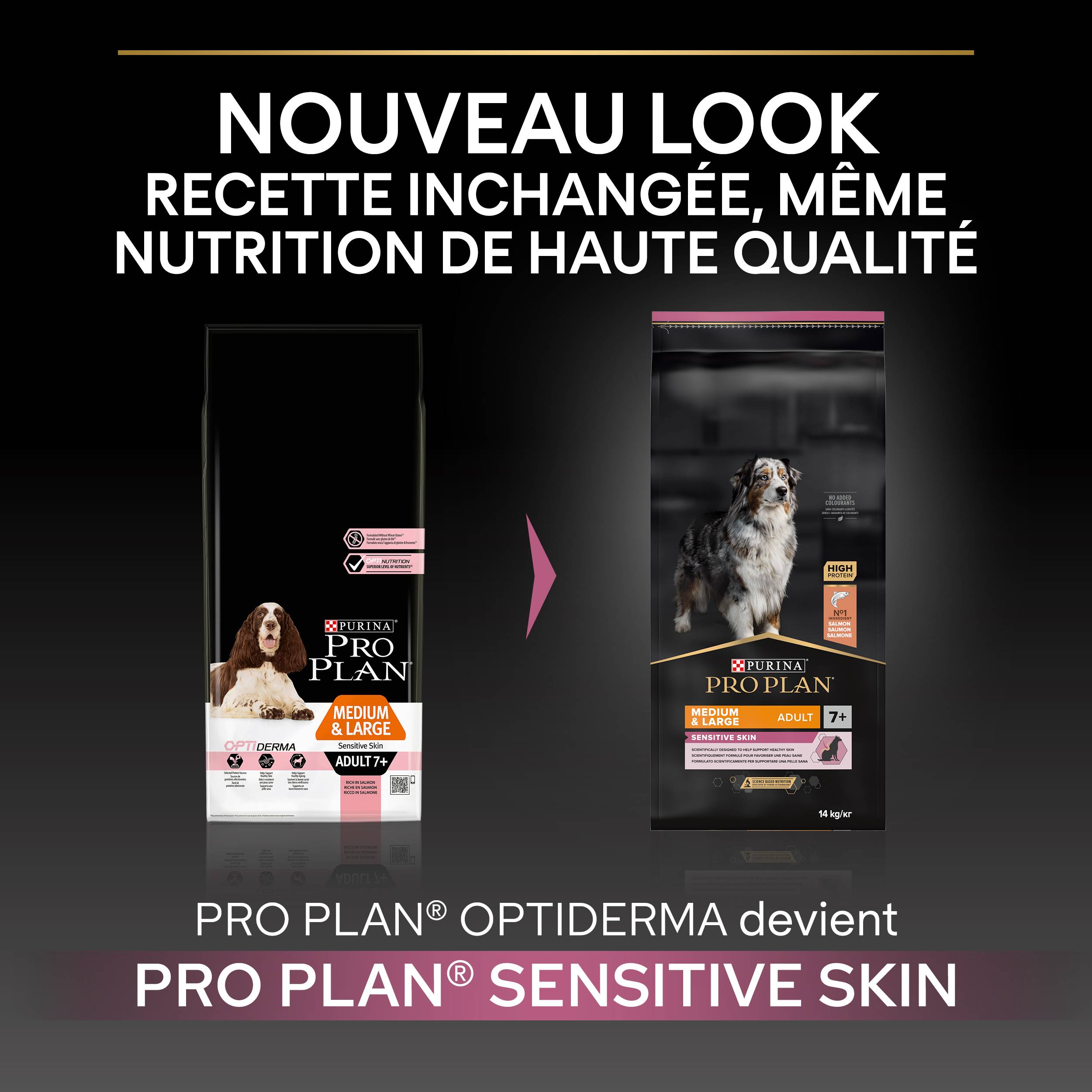 Purina Pro Plan - Croquettes chien Adulte 7+ Medium-Large Sensitive Skin Saumon 3 kg - PRO PLAN - Image 7