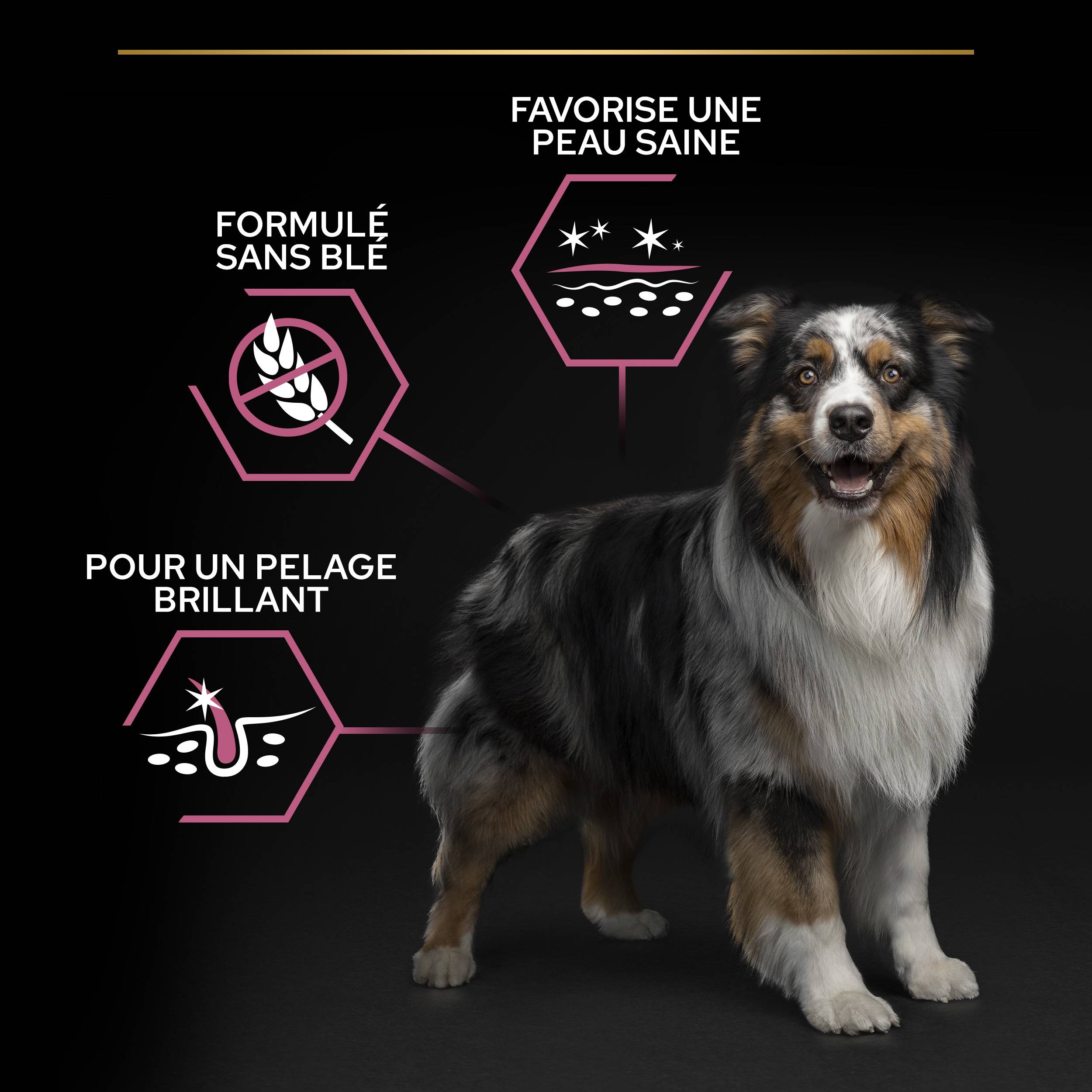 Purina Pro Plan - Croquettes chien Adulte 7+ Medium-Large Sensitive Skin Saumon 3 kg - PRO PLAN - Image 4