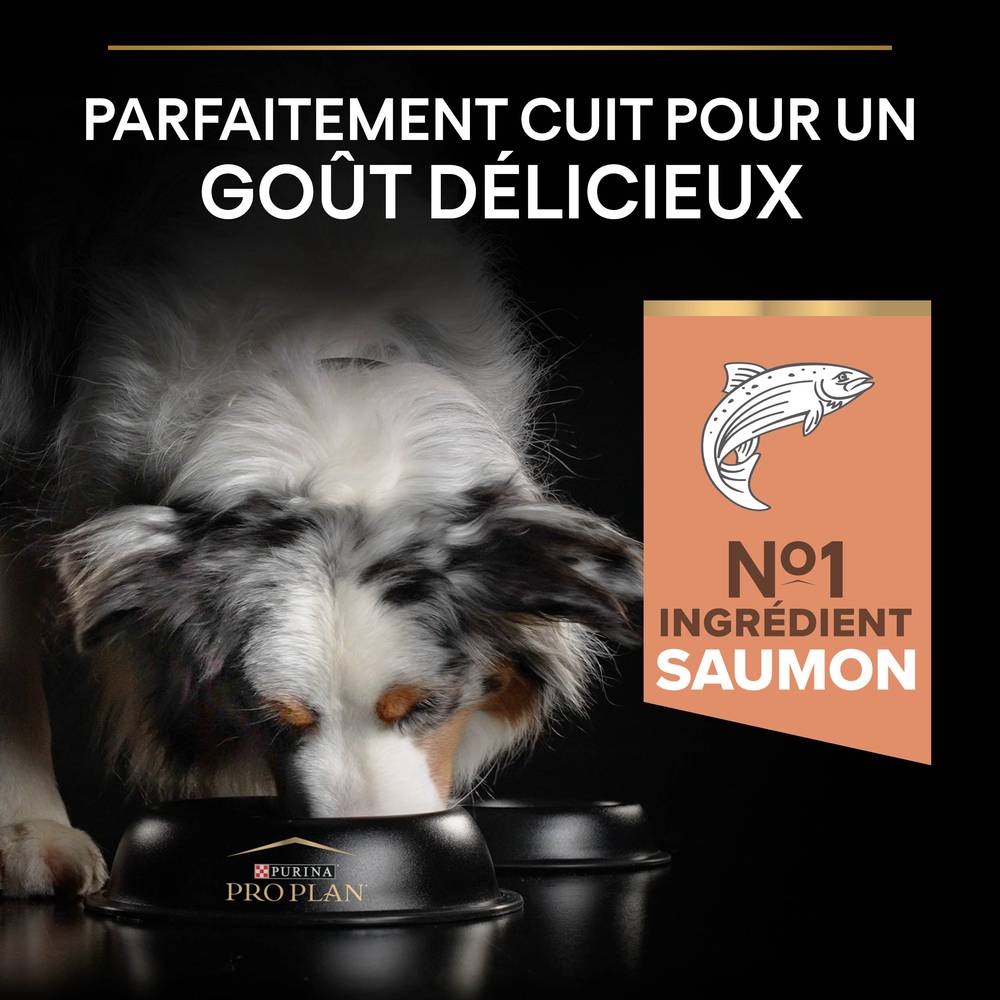 Purina Pro Plan - Croquettes chien Adulte 7+ Medium-Large Sensitive Skin Saumon 3 kg - PRO PLAN - Image 14
