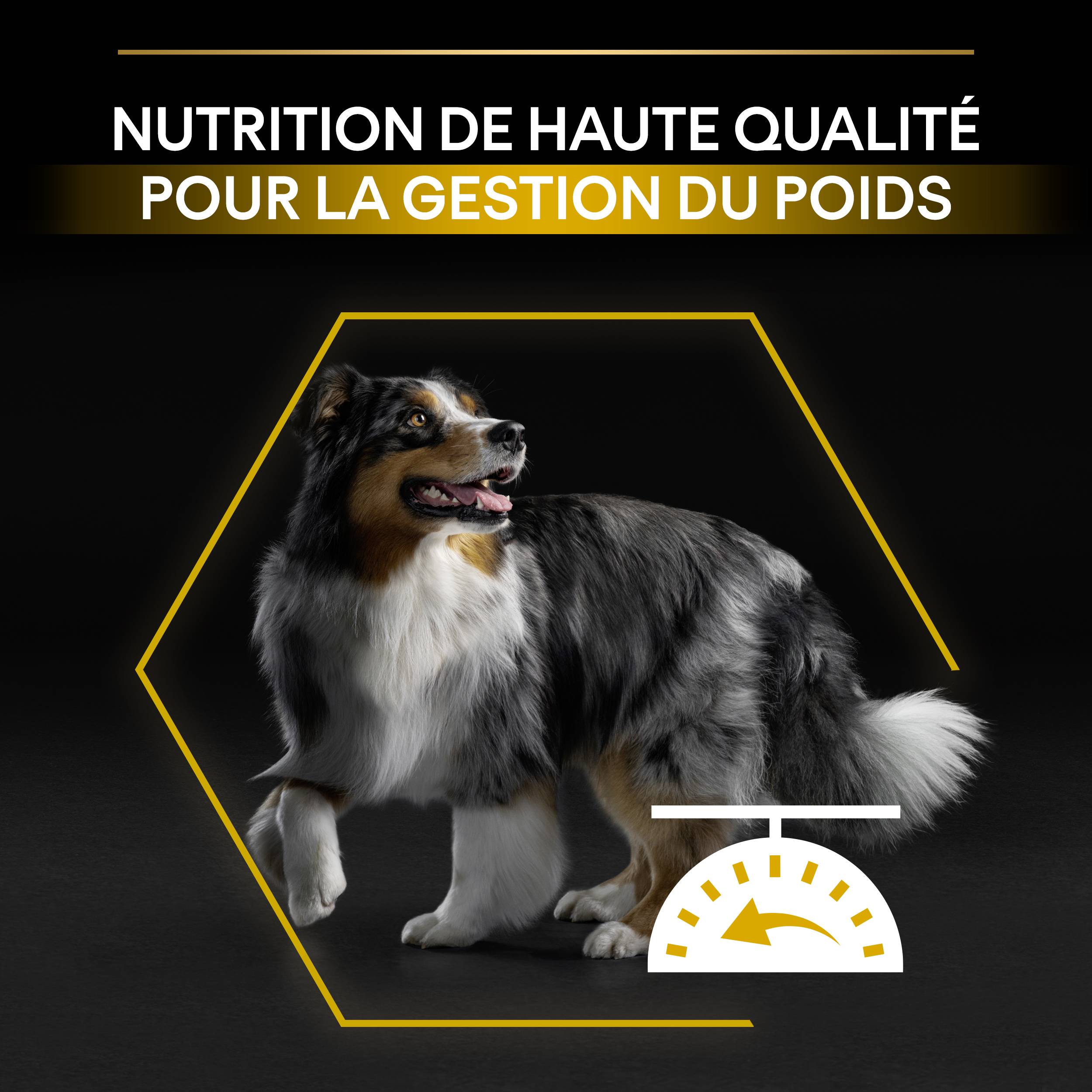 Purina Pro Plan - Croquettes chien Adulte Light Stérilisé Poulet 3 kg - PRO PLAN - Image 6