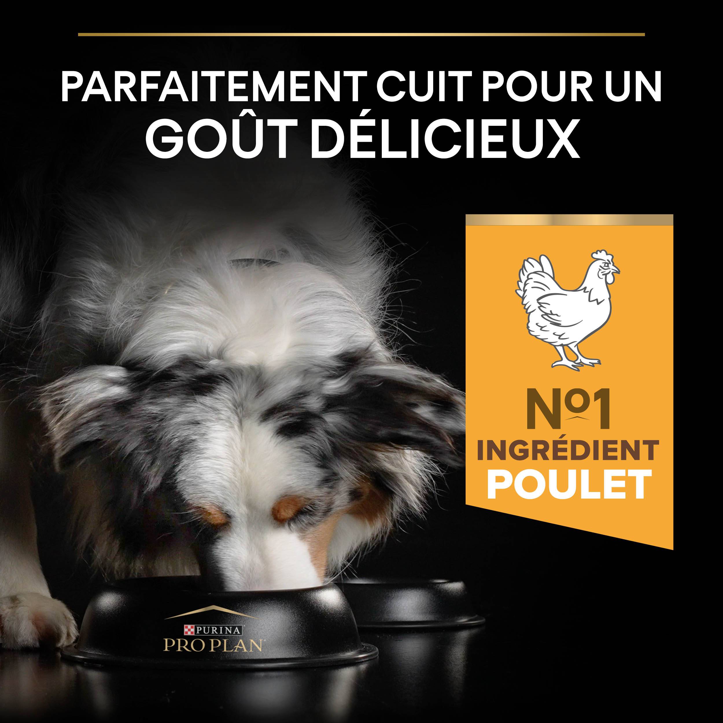 Purina Pro Plan - Croquettes chien Adulte Light Stérilisé Poulet 3 kg - PRO PLAN - Image 5