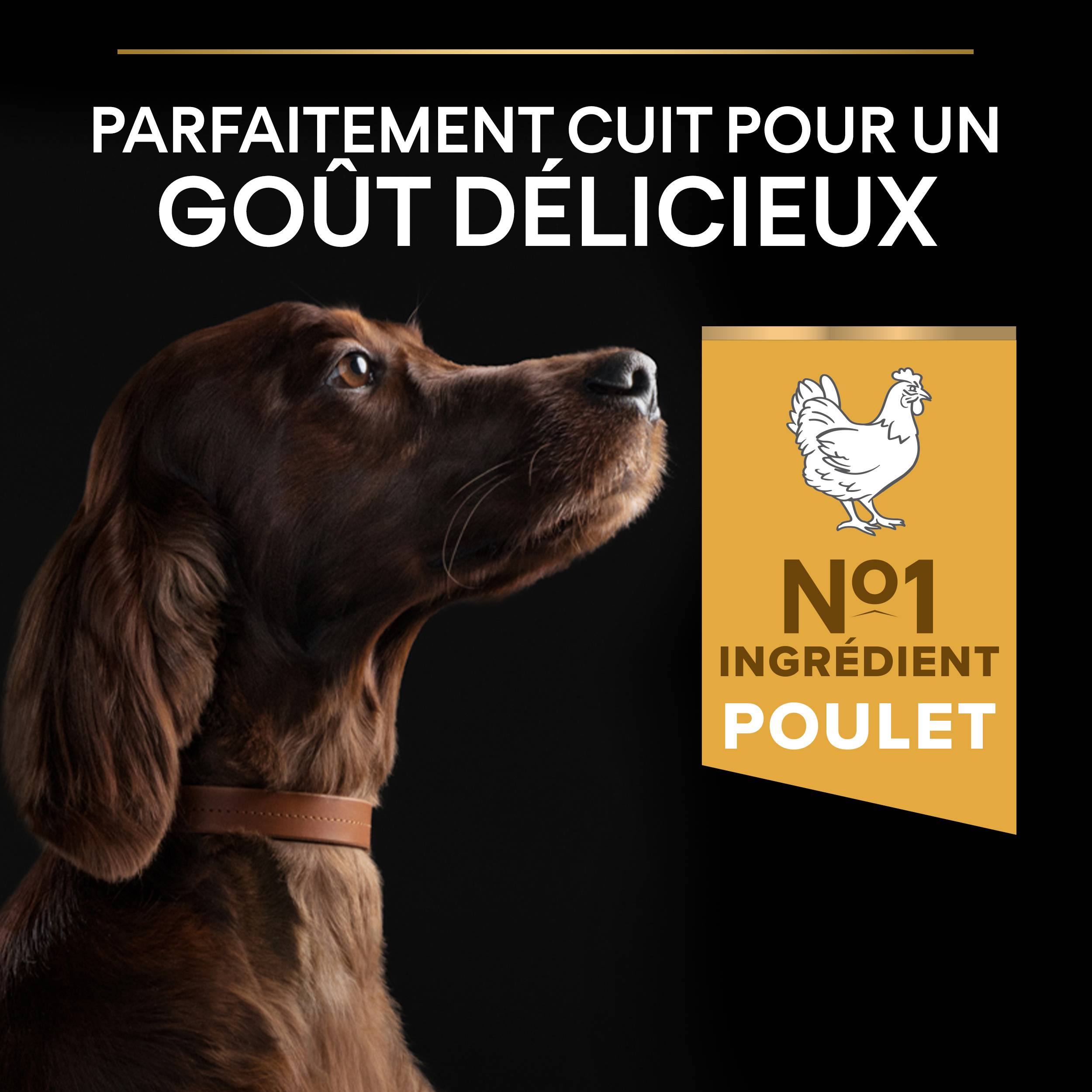 Purina Pro Plan - Croquettes Chien Large Athletique poulet 14 kg - PRO PLAN - Image 5
