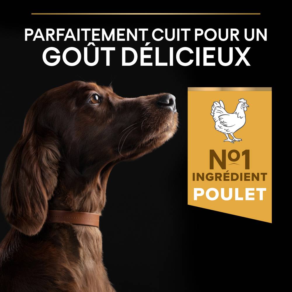 Purina Pro Plan - Croquettes Chien Large Athletique poulet 14 kg - PRO PLAN - Image 13