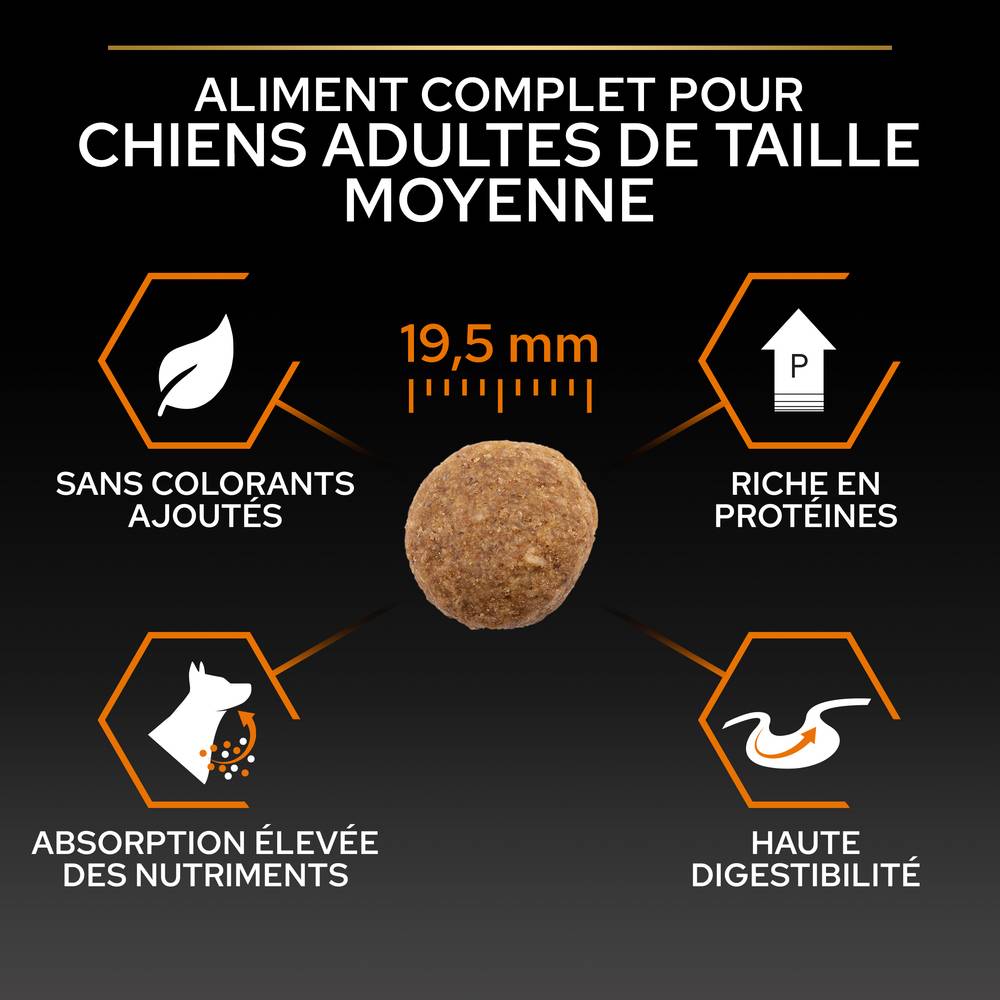 Purina Pro Plan - Croquettes chien Adulte Large Robuste poulet 14 kg - PRO PLAN - Image 3