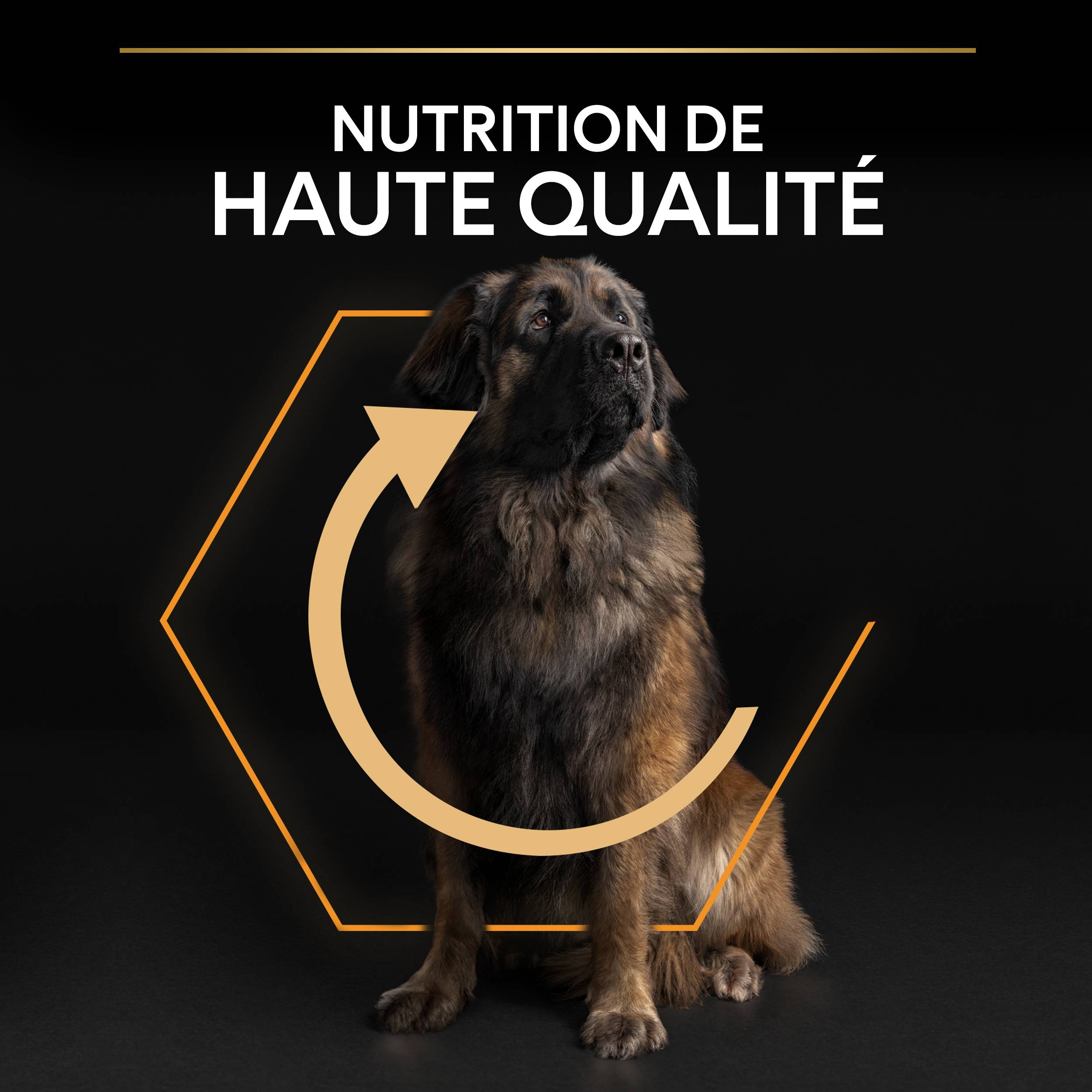 Purina Pro Plan - Croquettes chien Adulte Large Robuste poulet 14 kg - PRO PLAN - Image 11