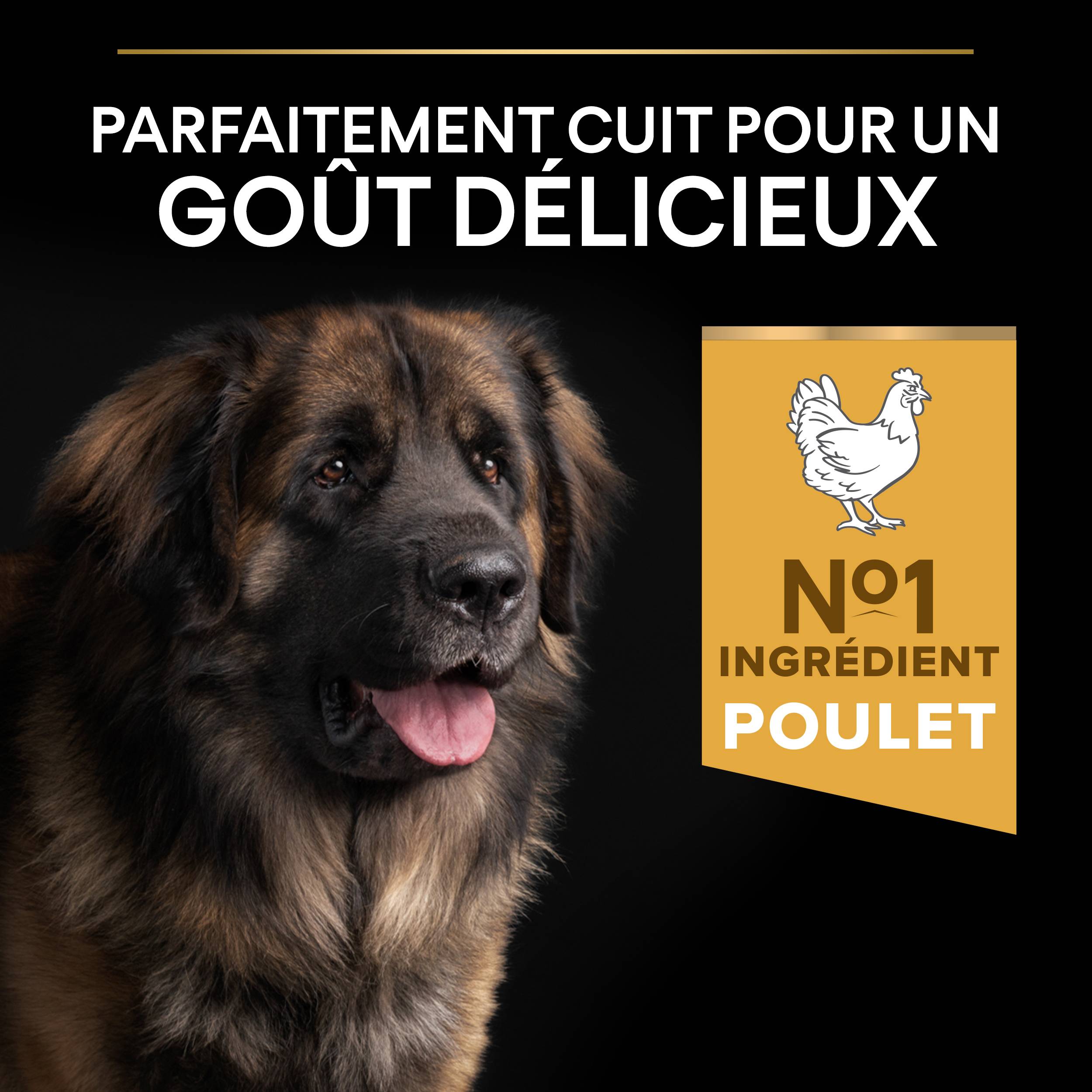 Purina Pro Plan - Croquettes chien Adulte Large Robuste poulet 14 kg - PRO PLAN - Image 4