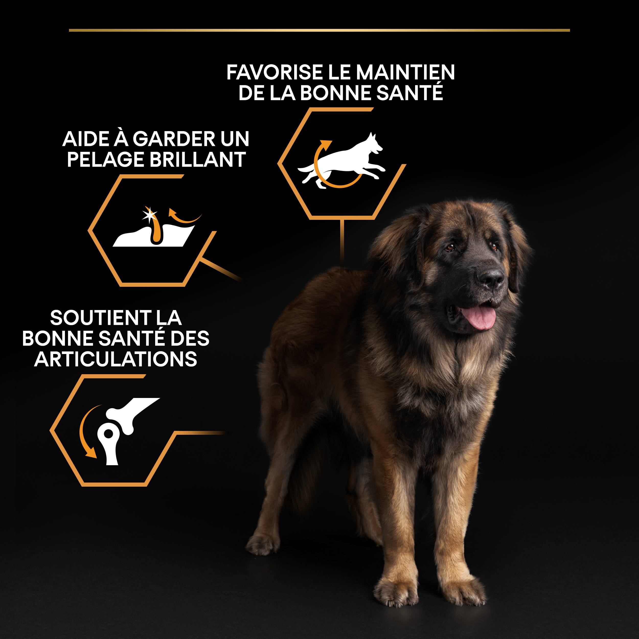 Purina Pro Plan - Croquettes chien Adulte Large Robuste poulet 14 kg - PRO PLAN - Image 5