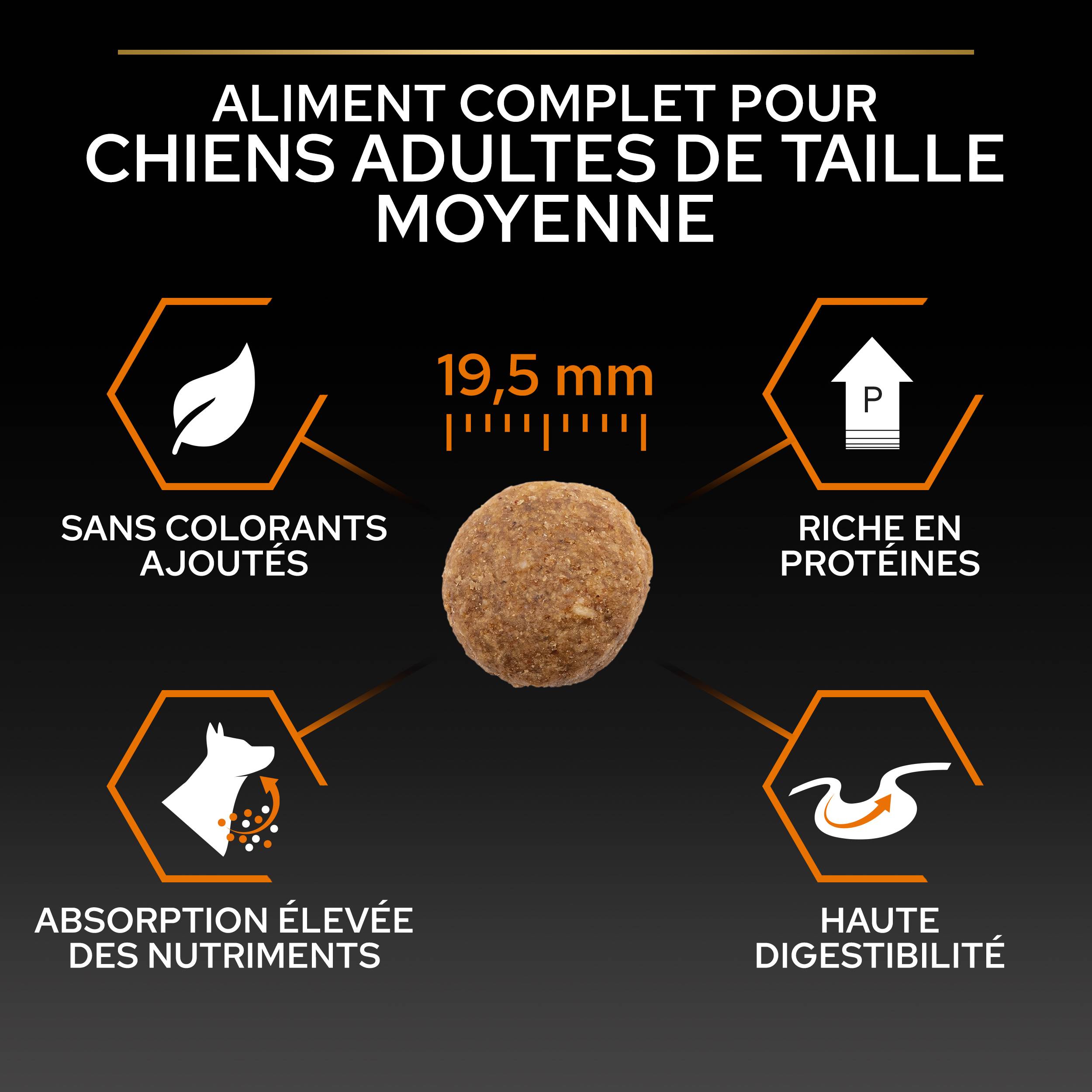 Purina Pro Plan - Croquettes chien Adulte Large Robuste poulet 14 kg - PRO PLAN - Image 2