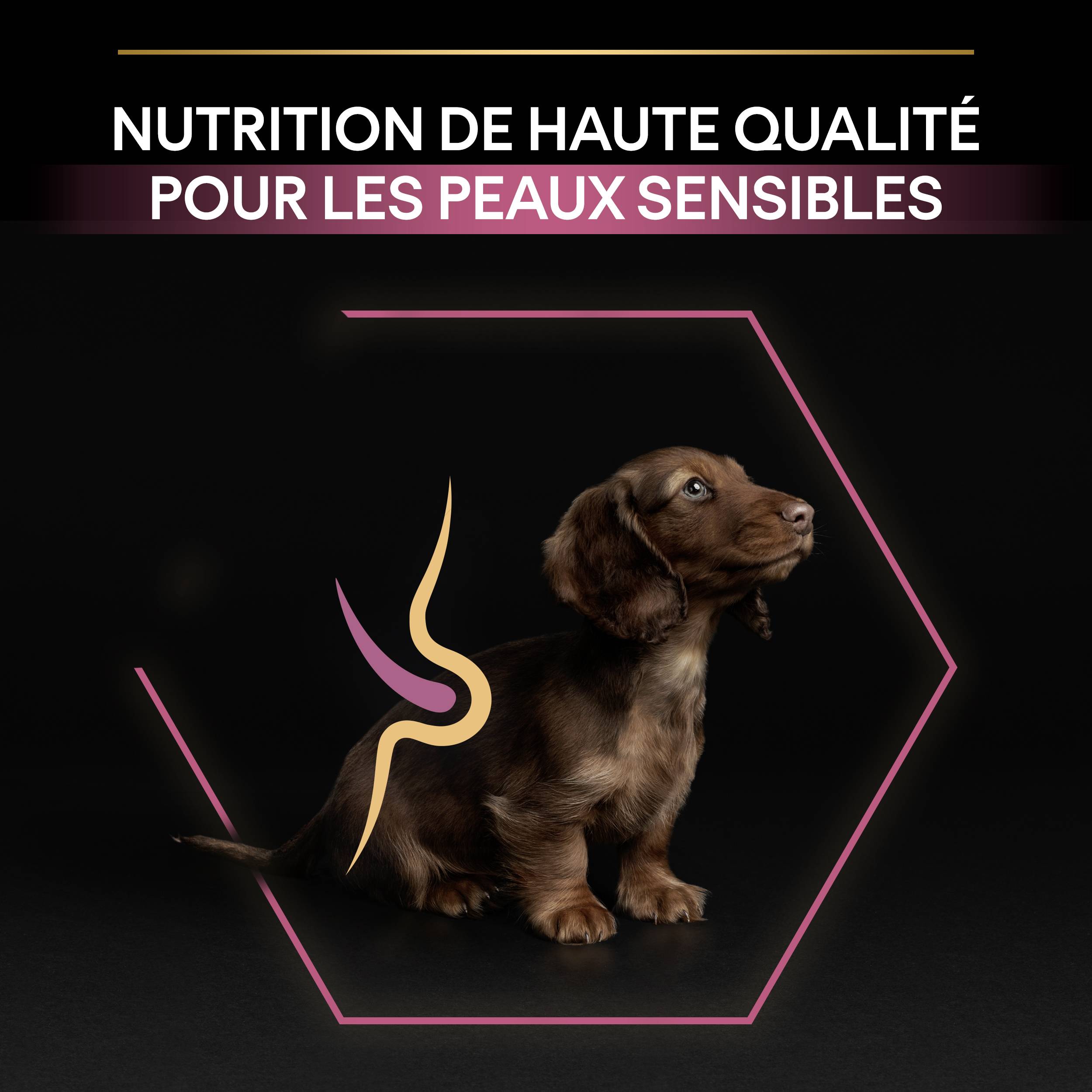 Purina Pro Plan - Croquettes chiot Peau Sensible Saumon 3 kg - PRO PLAN - Image 6