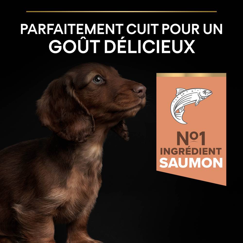 Purina Pro Plan - Croquettes chiot Peau Sensible Saumon 3 kg - PRO PLAN - Image 12