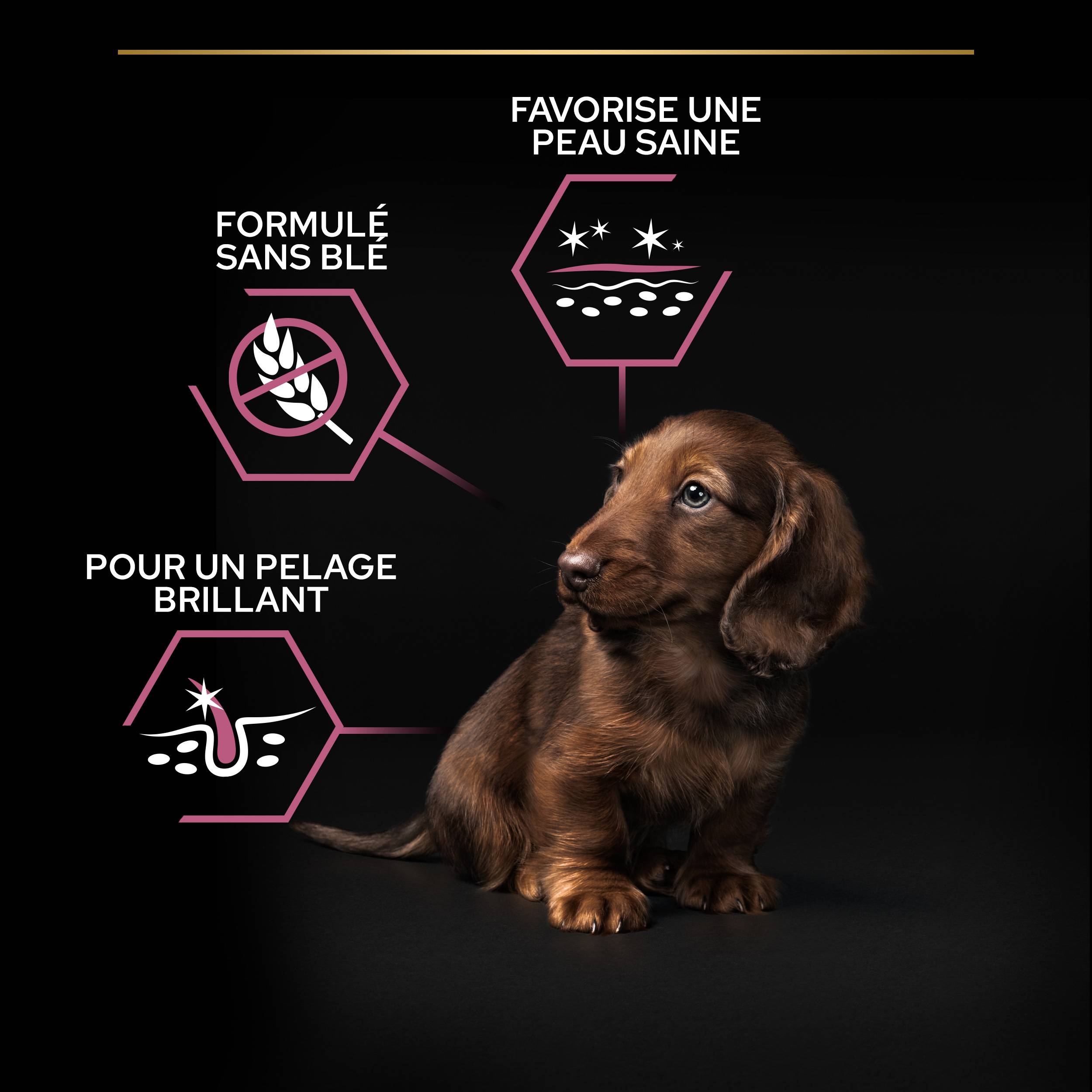 Purina Pro Plan - Croquettes chiot Peau Sensible Saumon 3 kg - PRO PLAN - Image 14