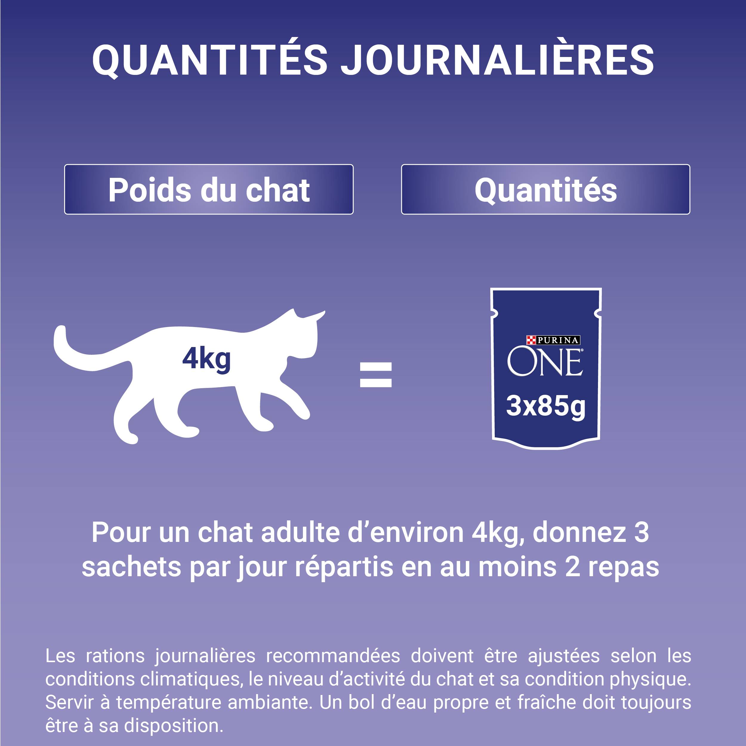 Purina One - Effilés sauce chat Adulte Poulet Bœuf 4x85g - PURINA ONE - Image 11