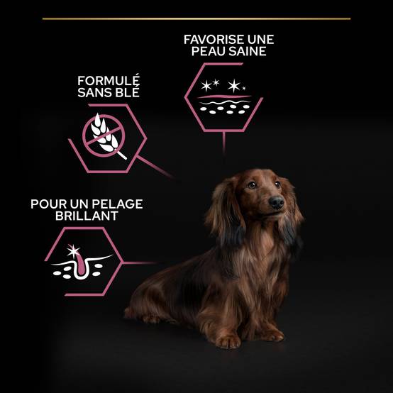 Purina Pro Plan - Croquettes chien Adulte Peau Sensible Saumon 3 kg - PRO PLAN - Image 9